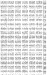 Figure IDA00002091897100151