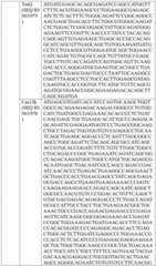 Figure BDA0004033970230004881