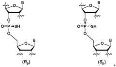 Figure GDA0003564942560000581