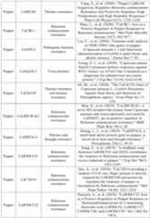 Figure PCTCN2022090268-appb-000026