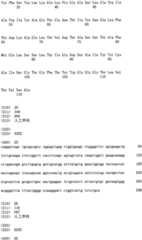 Figure RE-ISB0000195685460000141