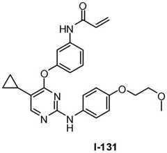Figure BDA0001453135130002661