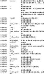 Figure BDA0000057170160000321