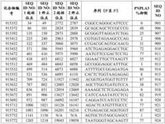 Figure BDA0002976854330001242