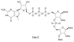 Figure JPOXMLDOC01-appb-C000016