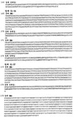 Figure 112008046186434-PCT00031