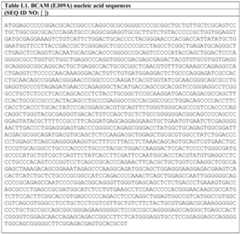 Figure imgf000030_0002