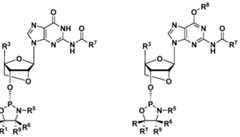 Figure imgf000021_0002