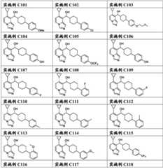 Figure FDA0003289571880000052