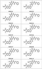 Figure BDA0003795483320000211