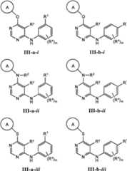 Figure BPA00001476434900231