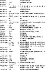 Figure BDA0000057170160001891