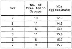 Figure imgf000008_0002
