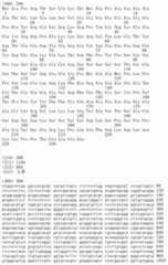 Figure IDA00002091897102791