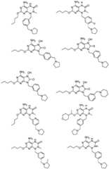 Figure FDA0001836596910000081