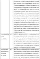 Figure BDA0004113681710000761