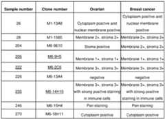 Figure imgf000058_0001