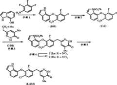 Figure A20048000812101211