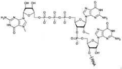 Figure imgf000064_0002