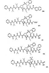 Figure BSA00000606821200931