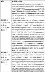 Figure BDA0002763179510000541