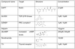 Figure imgf000022_0002