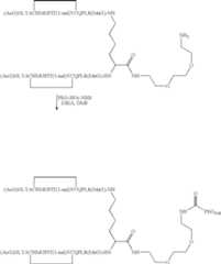 Figure US07906485-20110315-C00072