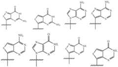 Figure imgf000308_0001