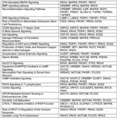 Figure imgf000133_0001