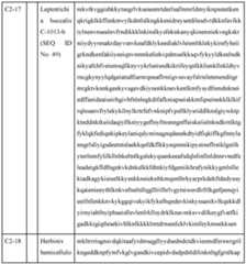 Figure imgf000197_0001