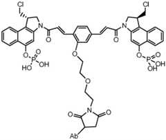 Figure BDA0001241706110001302