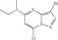 Figure US07119200-20061010-C00622