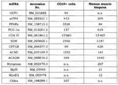 Figure imgf000016_0001