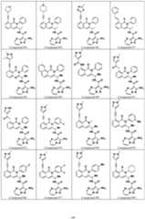 Figure imgf000101_0001