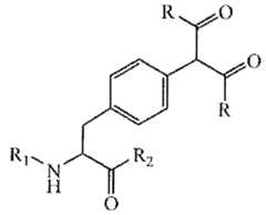 Figure 112010038971676-pct00039