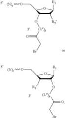 Figure US12338436-20250624-C00229