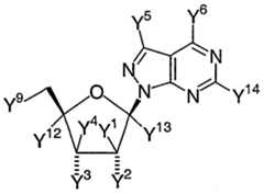Figure imgf000007_0001