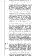 Figure BDA0004033970230007361