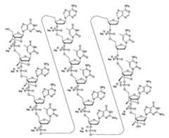 Figure 108131991-A0202-12-0054-23