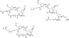 Figure imgf000421_0001