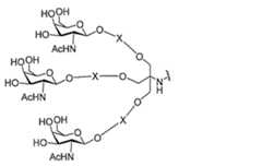 Figure 0007429103000191