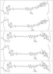 Figure FDA0002889616210000331