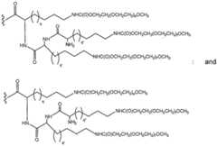 Figure imgf000028_0001
