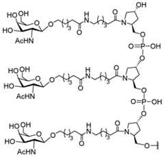 Figure imgf000505_0001