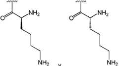 Figure imgf000006_0002