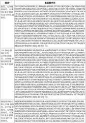 Figure BDA0003627552160000911