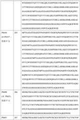 Figure BDA0004113681710001741