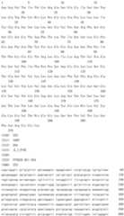 Figure IDA0001717945590001351