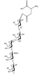 Figure 105102276-A0305-02-0012-6