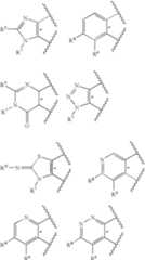 Figure US07828840-20101109-C00039